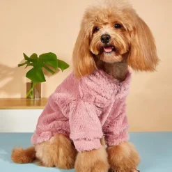 Dog Cat Coat Jacket Fashion Cute Winter Warm Breathable Soft Washable Comfortable Outdoor Casual Daily Dog Clothing for Bichon Frise Pomeranian Baby Pet Papillon Small