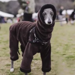 Dog Cat Coat Jacket Fashion Cute Winter Warm Breathable Soft Washable Comfortable Outdoor Casual Daily Dog Clothing for Bichon Frise Pomeranian Baby Pet Papillon Small