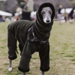 Dog Cat Coat Jacket Fashion Cute Winter Warm Breathable Soft Washable Comfortable Outdoor Casual Daily Dog Clothing for Bichon Frise Pomeranian Baby Pet Papillon Small