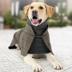 Dog Cat Coat Jacket Fashion Cute Winter Warm Soft Washable Comfortable Outdoor Sports Dog Clothing for Bichon Frise Poodle Pomeranian Baby Pet Papillon