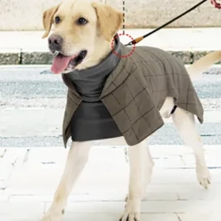 Dog Cat Coat Jacket Fashion Cute Winter Warm Soft Washable Comfortable Outdoor Sports Dog Clothing for Bichon Frise Poodle Pomeranian Baby Pet Papillon