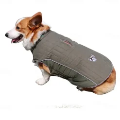 Dog Cat Coat Jacket Fashion Cute Winter Warm Breathable Soft Washable Comfortable Outdoor Casual Daily Dog Clothing for Bichon Frise Pomeranian Baby Pet Papillon Small