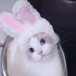 Dog Cat Dog Bandana & Dog Hat Party Funny Winter Breathable Soft Washable Comfortable Party Halloween Casual Daily Festival Dog Clothing for Bichon Frise Pomeranian Baby Pet Papillon Small