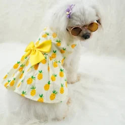 Dog Cat Dress Fashion Cute Waterproof Breathable Soft Washable Comfortable Outdoor Casual Daily Dog Clothing for Bichon Frise Pomeranian Baby Pet Papillon Small