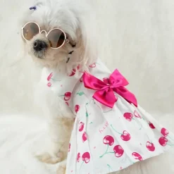 Dog Cat Dress Fashion Cute Waterproof Breathable Soft Washable Comfortable Outdoor Casual Daily Dog Clothing for Bichon Frise Pomeranian Baby Pet Papillon Small