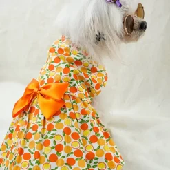 Dog Cat Dress Fashion Cute Waterproof Breathable Soft Washable Comfortable Outdoor Casual Daily Dog Clothing for Bichon Frise Pomeranian Baby Pet Papillon Small