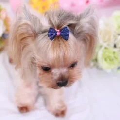 Dog Cat Hair Bow Cute Cosplay Casual Daily Dog Clothing for Shih Tzu Maltese Chihuahua Pomeranian Toy Poodle