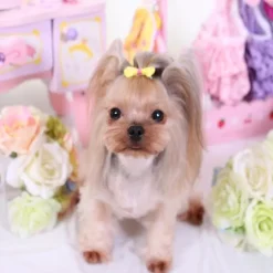 Dog Cat Hair Bow Cute Cosplay Casual Daily Dog Clothing for Shih Tzu Maltese Chihuahua Pomeranian Toy Poodle