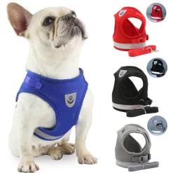 Dog Cat Harness Cute Adorable Winter Soft Comfortable Dailywear Casual Daily Husky Labrador Alaskan Malamute Golden Retriever Dalmatian