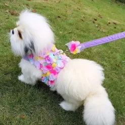 Dog Cat Harness Leash Fashion Party Breathable Washable Comfortable Christmas Christmas Outdoor Casual Daily Dog Clothing for Bichon Frise Pomeranian Baby Pet Papillon Small