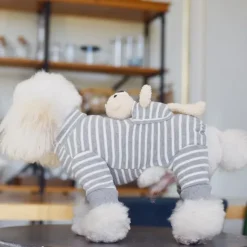 Dog Cat Jumpsuit Fashion Cute Winter Breathable Soft Washable Comfortable Outdoor Casual Daily Dog Clothing for Bichon Frise Pomeranian Baby Pet Papillon Small