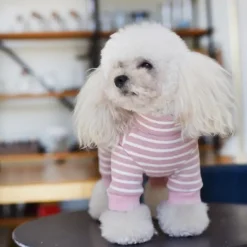 Dog Cat Jumpsuit Fashion Cute Winter Breathable Soft Washable Comfortable Outdoor Casual Daily Dog Clothing for Bichon Frise Pomeranian Baby Pet Papillon Small