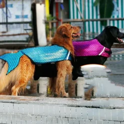 Dog Cat Life Vest Dog Life Jacket Fashion Cute Adjustable Breathable Soft Washable Comfortable Outdoor Party Dailywear Casual Daily Festival Dog Clothing for Bichon Frise Poodle Pomeranian Baby Pet