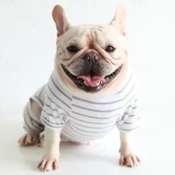 Dog Cat Pajamas Fashion Cute Winter Soft Washable Comfortable Indoor Casual Daily Dog Clothing for Bichon Frise Poodle Pomeranian Baby Pet Papillon