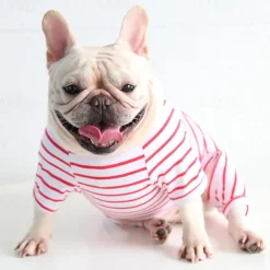 Dog Cat Pajamas Fashion Cute Winter Soft Washable Comfortable Indoor Casual Daily Dog Clothing for Bichon Frise Poodle Pomeranian Baby Pet Papillon