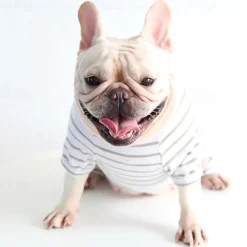 Dog Cat Pajamas Fashion Cute Winter Soft Washable Comfortable Indoor Casual Daily Dog Clothing for Bichon Frise Poodle Pomeranian Baby Pet Papillon