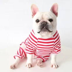 Dog Cat Pajamas Fashion Cute Winter Soft Washable Comfortable Indoor Casual Daily Dog Clothing for Bichon Frise Poodle Pomeranian Baby Pet Papillon