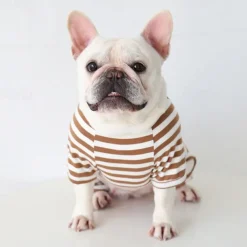 Dog Cat Pajamas Fashion Cute Winter Soft Washable Comfortable Indoor Casual Daily Dog Clothing for Bichon Frise Poodle Pomeranian Baby Pet Papillon