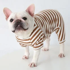 Dog Cat Pajamas Fashion Cute Winter Soft Washable Comfortable Indoor Casual Daily Dog Clothing for Bichon Frise Poodle Pomeranian Baby Pet Papillon