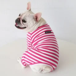 Dog Cat Pajamas Fashion Cute Winter Soft Washable Comfortable Indoor Casual Daily Dog Clothing for Bichon Frise Poodle Pomeranian Baby Pet Papillon