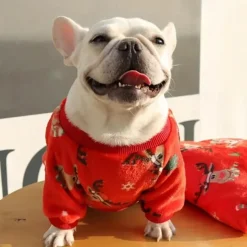 Dog Cat Pajamas Fashion Party Winter Warm Breathable Soft Washable Comfortable Christmas Christmas Outdoor Casual Daily Dog Clothing for Bichon Frise Pomeranian Baby Pet Papillon Small