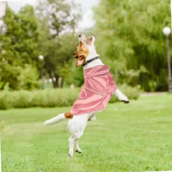 Dog Cat Pajamas Ordinary Casual Daily Winter Breathable Soft Washable Comfortable Outdoor Casual Daily Dog Clothing for Bichon Frise Pomeranian Baby Pet Papillon Small