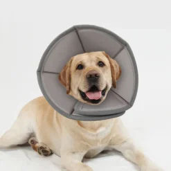 Dog Cat Pet Cone Pet Recovery Collar Elizabeth circle Adjustable Stress Relieving Safety Anti-Bite Lick Wound Healing After Surgery Protective Outdoor Walking Solid Colored Small Dog