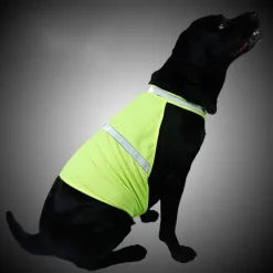 Dog Cat Rain Coat Rain Jacket Fashion Casual Winter Reflective Adjustable Waterproof Breathable Soft Christmas Outdoor Casual Daily Dog Clothing for Bichon Frise Pomeranian Baby Pet Papillon Small