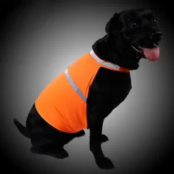 Dog Cat Rain Coat Rain Jacket Fashion Casual Winter Reflective Adjustable Waterproof Breathable Soft Christmas Outdoor Casual Daily Dog Clothing for Bichon Frise Pomeranian Baby Pet Papillon Small