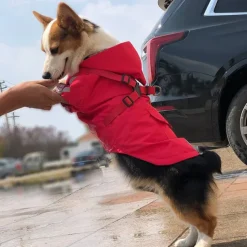 Dog Cat Rain Coat Rain Jacket Fashion Cute Winter Reflective Waterproof Comfortable Outdoor Casual Daily Dog Clothing for Corgi Pomeranian Baby Pet Papillon Small