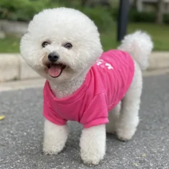 Dog Cat Shirt / T-Shirt Casual / Sporty Euramerican Warm Breathable Washable Comfortable Sports & Outdoors Outdoor Sports Outdoor Weekend Dog Clothing for Husky Dalmatian Border Collie Japanese Spitz