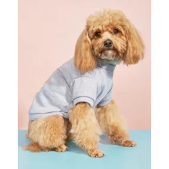 Dog Cat Shirt / T-Shirt Casual / Sporty Euramerican Warm Breathable Washable Comfortable Sports & Outdoors Outdoor Sports Outdoor Weekend Dog Clothing for Husky Dalmatian Border Collie Japanese Spitz