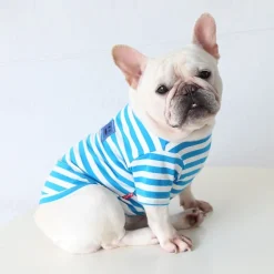 Dog Cat Shirt / T-Shirt Fashion Casual Winter Waterproof Breathable Soft Washable Comfortable Casual Daily Dog Clothing for Bichon Frise Pomeranian Baby Pet Papillon Small