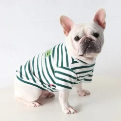 Dog Cat Shirt / T-Shirt Fashion Casual Winter Waterproof Breathable Soft Washable Comfortable Casual Daily Dog Clothing for Bichon Frise Pomeranian Baby Pet Papillon Small