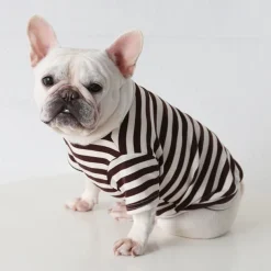 Dog Cat Shirt / T-Shirt Fashion Casual Winter Waterproof Breathable Soft Washable Comfortable Casual Daily Dog Clothing for Bichon Frise Pomeranian Baby Pet Papillon Small