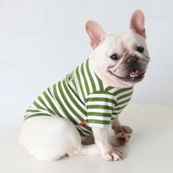 Dog Cat Shirt / T-Shirt Fashion Casual Winter Waterproof Breathable Soft Washable Comfortable Casual Daily Dog Clothing for Bichon Frise Pomeranian Baby Pet Papillon Small