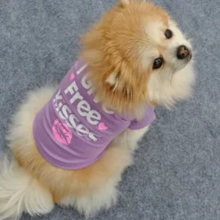 Dog Cat Shirt / T-Shirt Fashion Cute Waterproof Breathable Soft Washable Comfortable Outdoor Casual Daily Dog Clothing for Bichon Frise Pomeranian Baby Pet Papillon Small