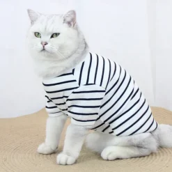 Dog Cat Shirt / T-Shirt Fashion Casual Breathable Soft Washable Comfortable Outdoor Casual Daily Dog Clothing for Bichon Frise Pomeranian Baby Pet Papillon Small