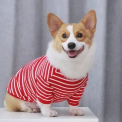 Dog Cat Shirt / T-Shirt Fashion Casual Breathable Soft Washable Comfortable Outdoor Casual Daily Dog Clothing for Bichon Frise Pomeranian Baby Pet Papillon Small