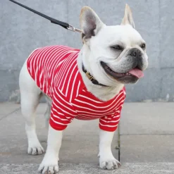 Dog Cat Shirt / T-Shirt Fashion Casual Breathable Soft Washable Comfortable Outdoor Casual Daily Dog Clothing for Bichon Frise Pomeranian Baby Pet Papillon Small