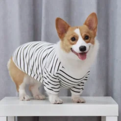 Dog Cat Shirt / T-Shirt Fashion Casual Breathable Soft Washable Comfortable Outdoor Casual Daily Dog Clothing for Bichon Frise Pomeranian Baby Pet Papillon Small