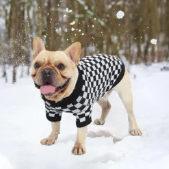 Dog Cat Shirt / T-Shirt Fashion Casual Winter Warm Breathable Soft Washable Comfortable Outdoor Casual Daily Dog Clothing for Bichon Frise Pomeranian Baby Pet Papillon Small