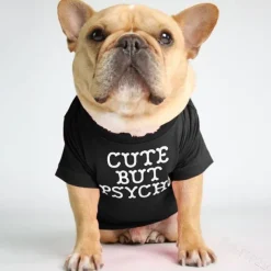 Dog Cat Shirt / T-Shirt Fashion Cute Breathable Soft Washable Comfortable Outdoor Casual Daily Dog Clothing for Bichon Frise Pomeranian Baby Pet Papillon Small