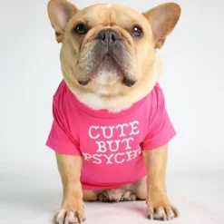 Dog Cat Shirt / T-Shirt Fashion Cute Breathable Soft Washable Comfortable Outdoor Casual Daily Dog Clothing for Bichon Frise Pomeranian Baby Pet Papillon Small