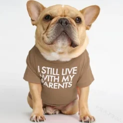 Dog Cat Shirt / T-Shirt Fashion Cute Breathable Soft Washable Comfortable Outdoor Casual Daily Dog Clothing for Bichon Frise Pomeranian Baby Pet Papillon Small