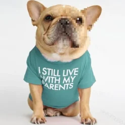 Dog Cat Shirt / T-Shirt Fashion Cute Waterproof Breathable Soft Washable Comfortable Outdoor Casual Daily Dog Clothing for Bichon Frise Pomeranian Baby Pet Papillon Small