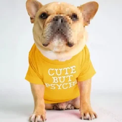 Dog Cat Shirt / T-Shirt Fashion Cute Waterproof Breathable Soft Washable Comfortable Outdoor Casual Daily Dog Clothing for Bichon Frise Pomeranian Baby Pet Papillon Small