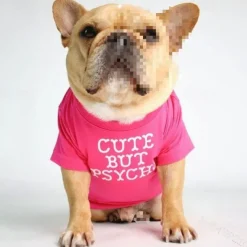 Dog Cat Shirt / T-Shirt Fashion Cute Waterproof Breathable Soft Washable Comfortable Outdoor Casual Daily Dog Clothing for Bichon Frise Pomeranian Baby Pet Papillon Small