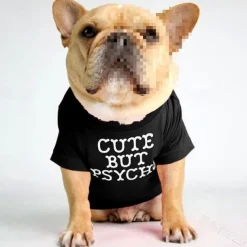 Dog Cat Shirt / T-Shirt Fashion Cute Waterproof Breathable Soft Washable Comfortable Outdoor Casual Daily Dog Clothing for Bichon Frise Pomeranian Baby Pet Papillon Small