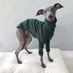 Dog Cat Shirt / T-Shirt Fashion Cute Breathable Soft Washable Comfortable Outdoor Casual Daily Dog Clothing for Bichon Frise Pomeranian Baby Pet Papillon Small